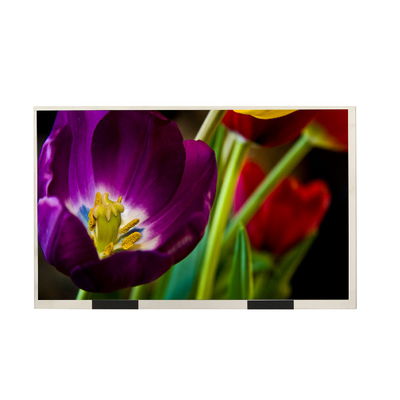 10.1 İnç EE101IA-01D LCD Ekran 1280X800 HD Masaüstü Monitör