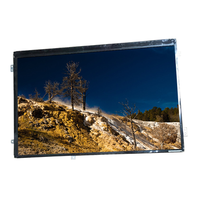 HannStar Laptop LCD Ekran Paneli HSD101PWW2-A01 ASUS TF201 için