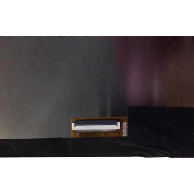 HannStar için HSD101BWW4-A00 Orijinal 10.1 inç 800*1280 LCD ekran