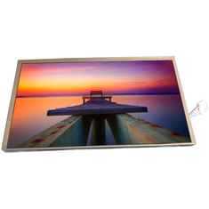 LQ065Y5DG01 Sharp 800*480 LCD Ekranı için Yeni 6.5 inç