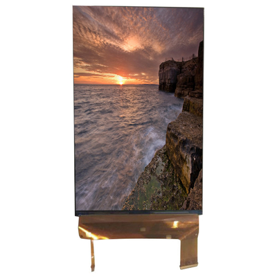 LQ070M1SX01 7.0 inç Ekran 1200*1920 LCD Ekran Monitörü 71 Pin
