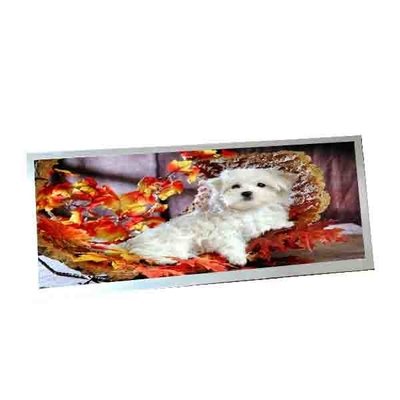 AUO C123HAN02.5 12.3 inç 40 pinlik LCD ekran için