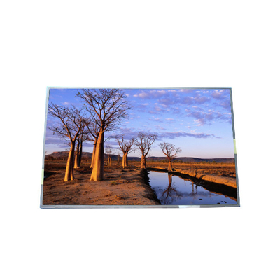 RGB 1440*900 B170PW03 V9 99PPI TFT LCD Panel