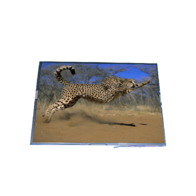 B150XG02 V5 15.0 inç 1024*768 LCD Ekranı TFT-LCD Ekranı