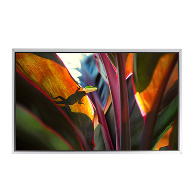 LTM220MT12 22.0 inç 1680*1050 tft LCD ekran