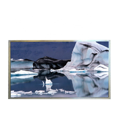 B121EW09 V6 1280*800 12.1 inç TFT-LCD ekran paneli