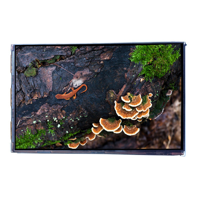 VVX07H005A00 7.0 inç 450 cd/m2 LCD Ekran Ekranı