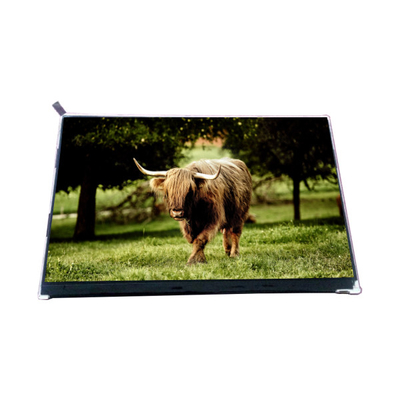VVX10F002A90 10.1 inç 1000: 1 LCD Ekran Ekran Paneli