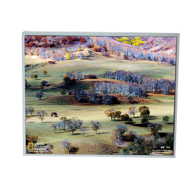 LM200WD1-TLA9 20.0 inç 1600*900 TFT LCD Ekranı