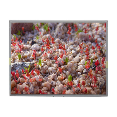 LG için LM201WE2-SLBC TFT LCD Modülü 20.1 Inch LCD Panel