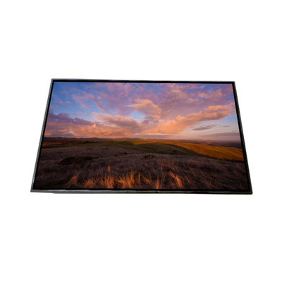 AV101HDM-N10 10.1 inç LCD Ekran Ekranı LCD MODUL