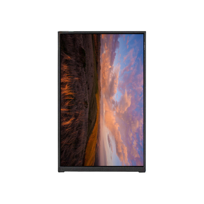 BP096WX1-100 9.6 inç LCD ekran LCD Ekran MODUL