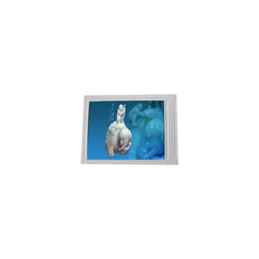 320*240 5.7 inç orijinal LM057QC1T01R LCD ekranı