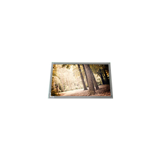 LQ020B3UD04 176*220 LCD Ekran 80Hz TFT LCD Ekran