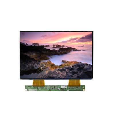 10.1 inç 1280*800 GV101WXB-NZ1-DGP0 60Hz LCD Ekran Panel Ekranı