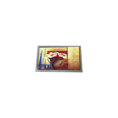 800*480 AM-800480RGTMQW-A1H AMPIRE için 7.0 inç 60Hz WLED LCD Ekran