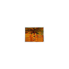 HSD070BPW1-A00 280*1424 Ev Aletleri için 6.9 inçlik LCD Ekran