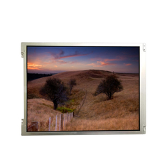 B104SN03 V0 10.4 inç 800*600 LCD ekran yüksek kaliteli