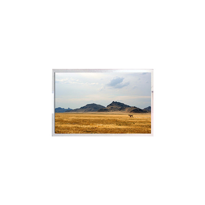 TFT7D0906-A LCD Ekran Ekranı 6.3 inç LCD Modülü Panel