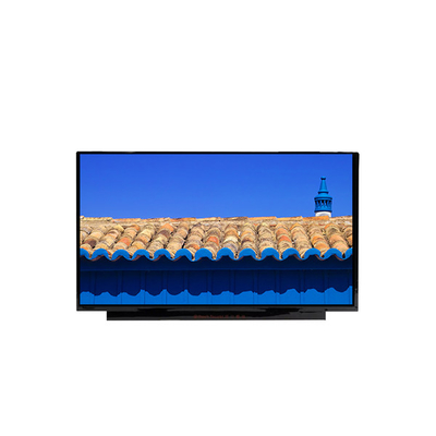 BOE NE170QDM-NZ1 17.0 inç 2560*1600 a-Si TFT-LCD LCM