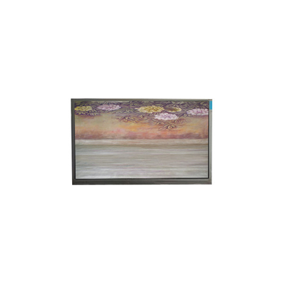 6.1 inç TFT LCD Panel U061SWR6-0 LCD ekran ekran ekranı
