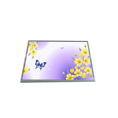 LM290WW2-SSE1 29.0 inç LCD Panel Ekranı
