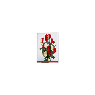 720*1480 LCD Ekran Ekran Paneli 6.3 Inch C063SWR1-0
