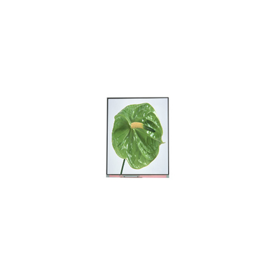 C050SWYM-0 5.0 inç 480*960 LCD Ekran Ekranı