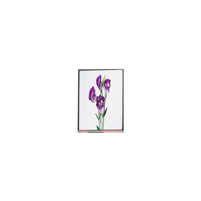 C057SWR1-1 5.7 inç 720*1440 LCD Ekran Panel For Phone