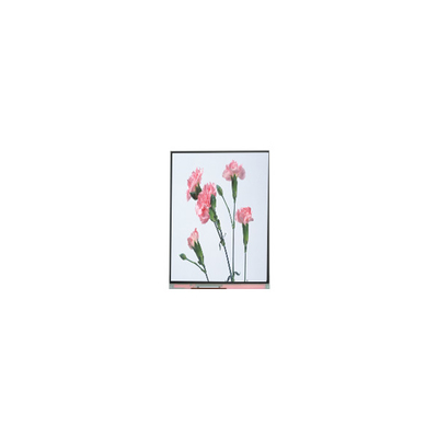 C060SWA3-3 6.0 inç 720*1280 LCD Ekran Ekranı Telefon için