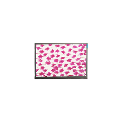 9.0 inç 800*480 LCD Ekran Ekranı E090SWP1 R2 LCD paneli