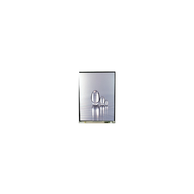LS038Y7DX01 3.8 inç 480*800 LCD Ekranı