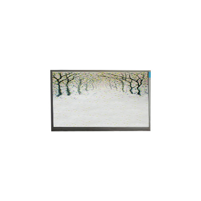 R125NWR3 R3 12.5 inç LCD modülü 1366*768 LCD ekranı