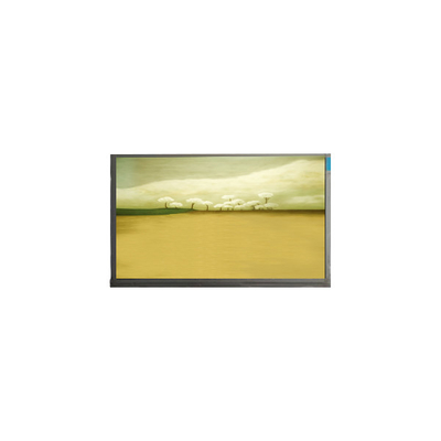 21.5 inç M215HJK-L3B LCD Ekran Paneli 1920*1080 LCD Ekran