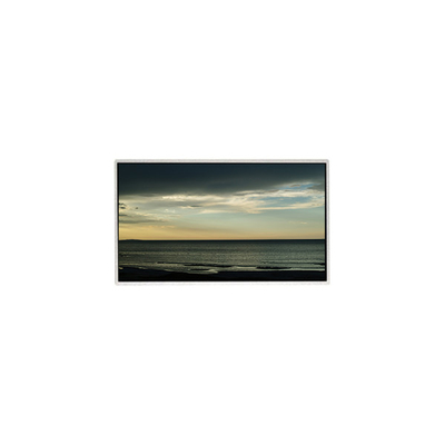 TT101WSB-NW0 LCD Panel 10.1 Inch 1024*600 LCD Ekranı