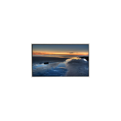 TT090WSQ-N10 9.0 inç 1024*600 LCD Ekran Ekranı