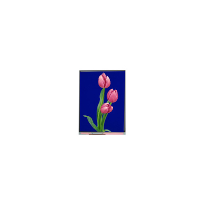 C055SWF4 R0 LCD Modülü 5.5 inçlik TFT LCD ekranı