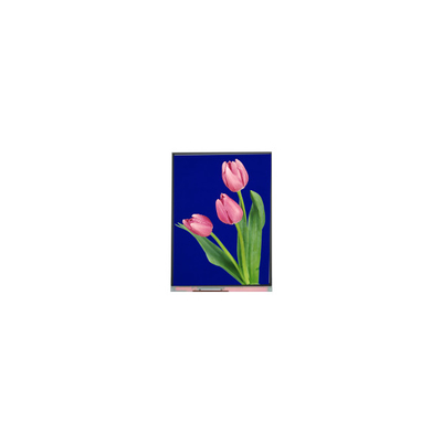 Yeni 5.4 inç C054SWZ4-1 540*960 LCD Ekranı