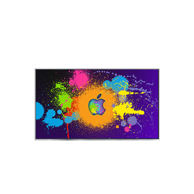 B133HAN03.3 CELL 13.3 inç 1920*1080 LCD Panel LCD Modülü