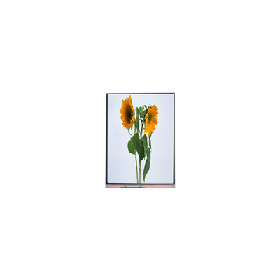 9.0 inçlik IVO LCD panel C090SWT3-0 1024*600 LCD ekran modülleri