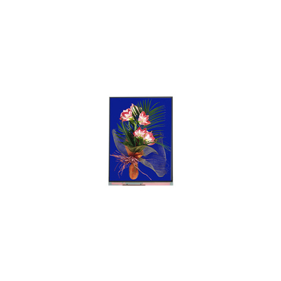 5.4 inçlik LCD panel 540*960 C054SWN1-1 LCD ekran modülü