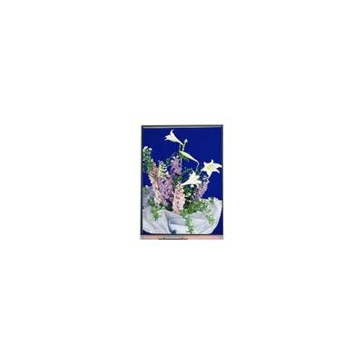 C054SWN1 R0 tft LCD Ekran Ekranı 5.4 inçlik LCD paneli