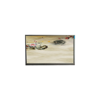 P236MWF2 R0 23.6 inç 1920*1080 TFT-LCD Ekranı