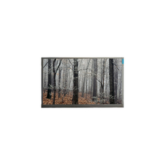 MT200LW01 V.0 20.0 inç 30 Pins LCD Panel Ekranı