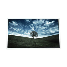 HT236F01-100 1920*1080 23.6 inç LCD Ekran Monitörü