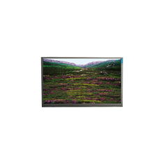 P236MWF1 R0 23.6 inç 1920*1080 LCD Panel LVDS Modülü