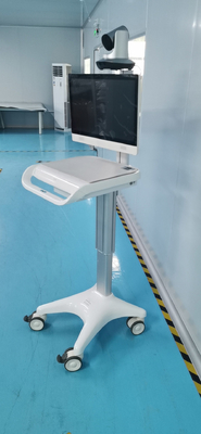 Tek Ekranlı Tıbbi Mobil İş İstasyonu Sınıf I 1920x1080 iPS