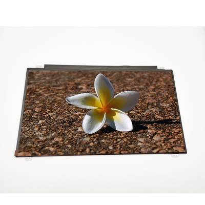 İyi bir fiyat. BOE Dikey Şerit 15.6 lcd panel NV156FHM-N31 1920*1080 LCD Dizüstü Bilgisayar Ekranı çevrimiçi