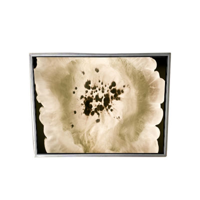 İyi bir fiyat. 120PPI NL204153BM21-05A LCD Tıbbi Ekran çevrimiçi