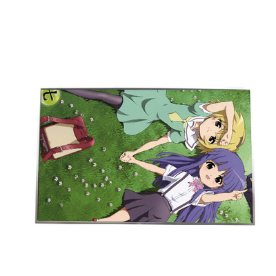 İyi bir fiyat. B141EW02 V4 14.1 inç 1280*800 LCD Ekranı TFT-LCD Ekranı çevrimiçi